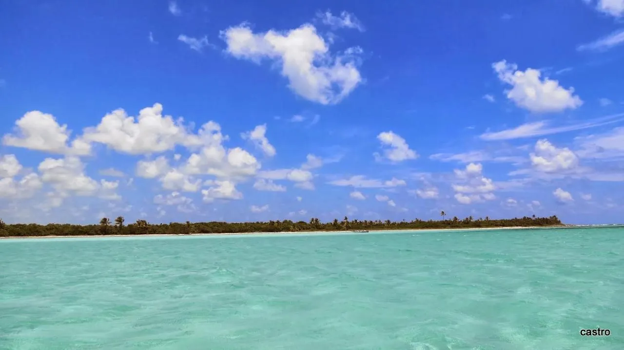 Las Palapas De Punta Allen Guest house