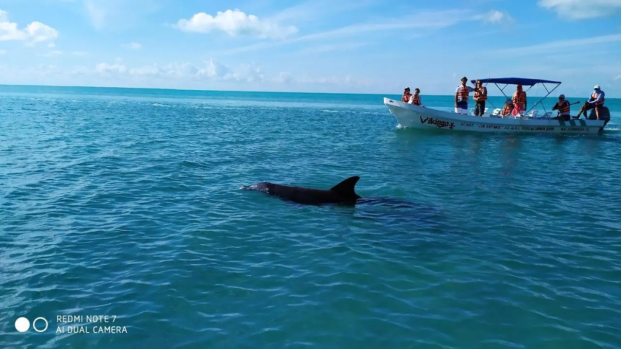 Las Palapas De Punta Allen 0*,