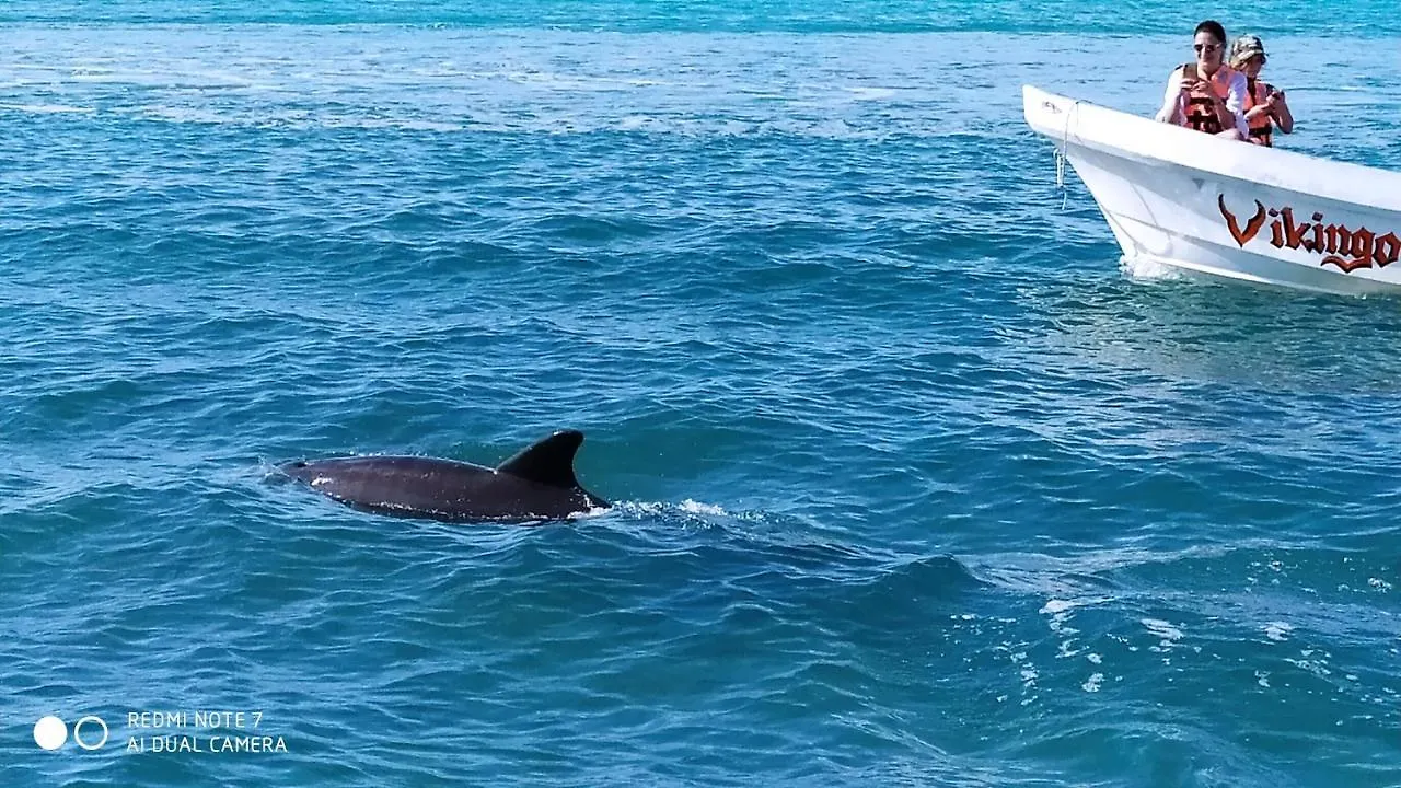 Las Palapas De Punta Allen 0*,