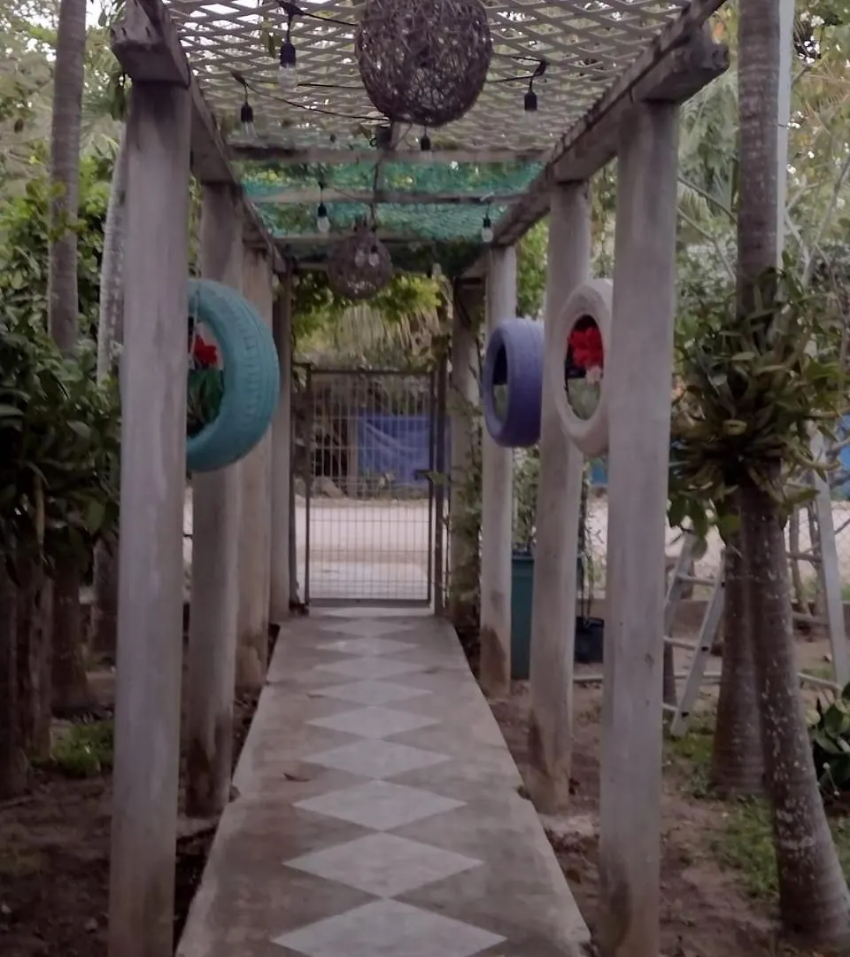 Las Palapas De Punta Allen Guest house