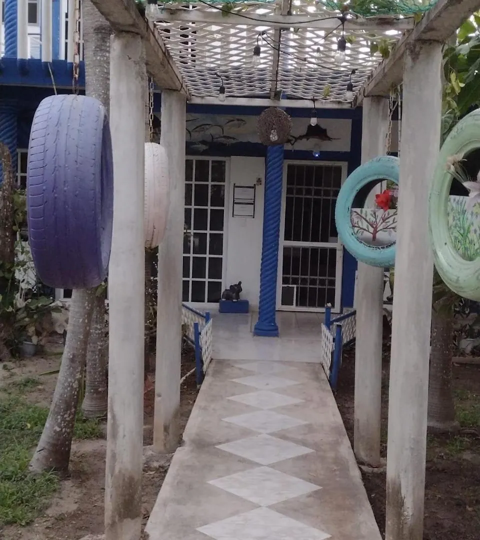 Las Palapas De Punta Allen