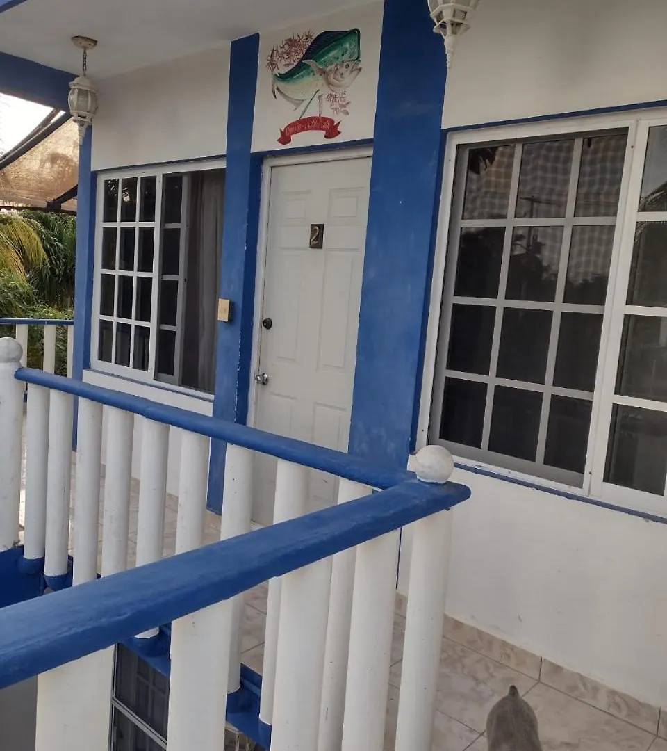 Las Palapas De Punta Allen