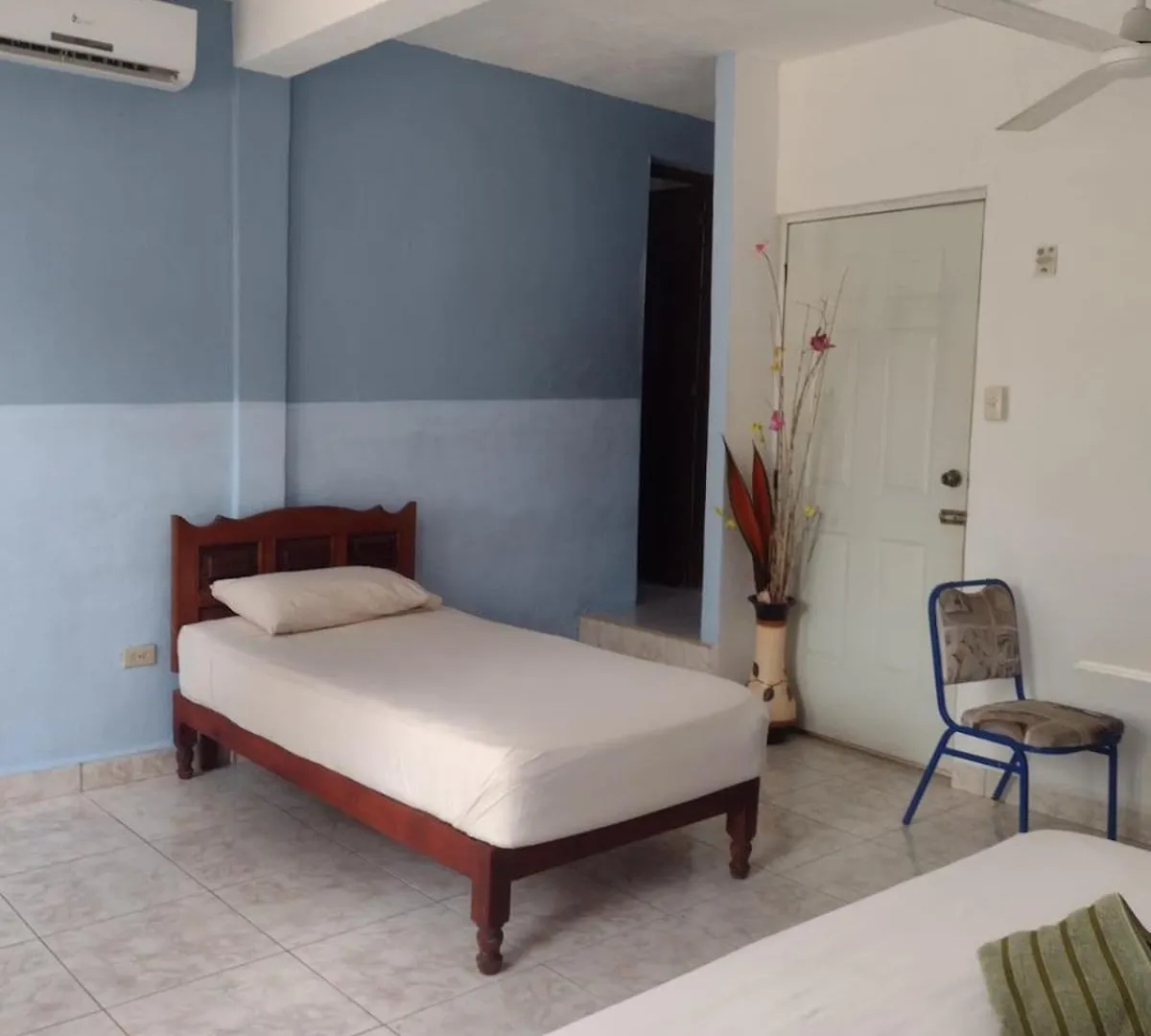 Las Palapas De Punta Allen Guest house