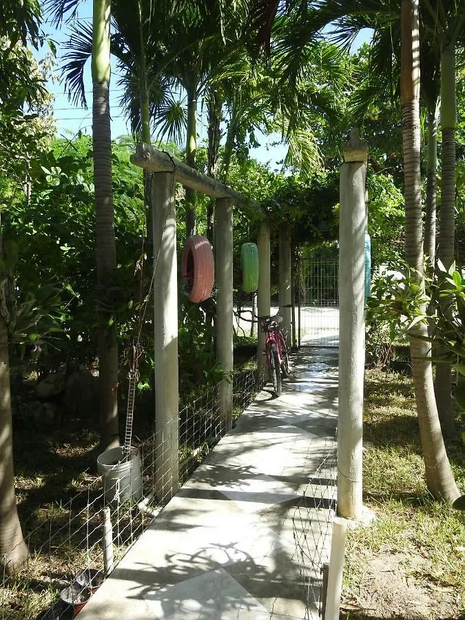 Las Palapas De Punta Allen