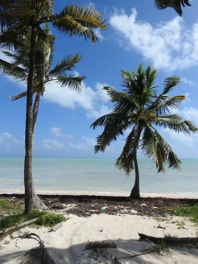 Guest house Las Palapas De Punta Allen