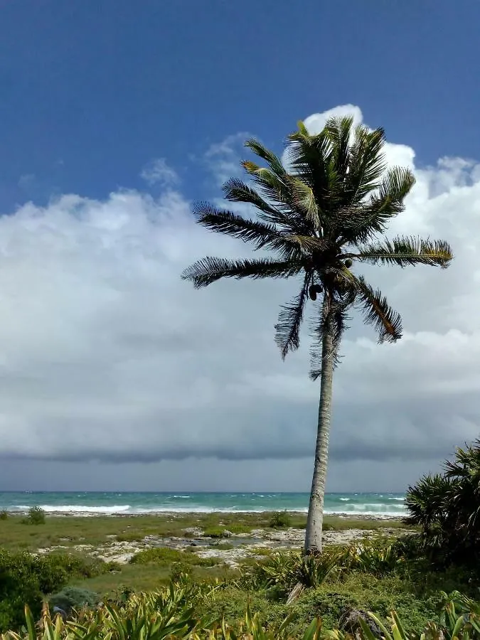 Las Palapas De Punta Allen 0*,