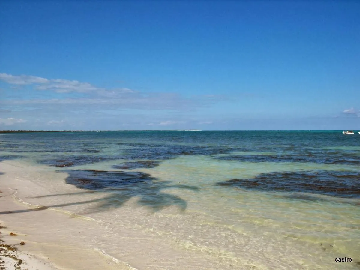 Las Palapas de Punta Allen Maison d'hôtes