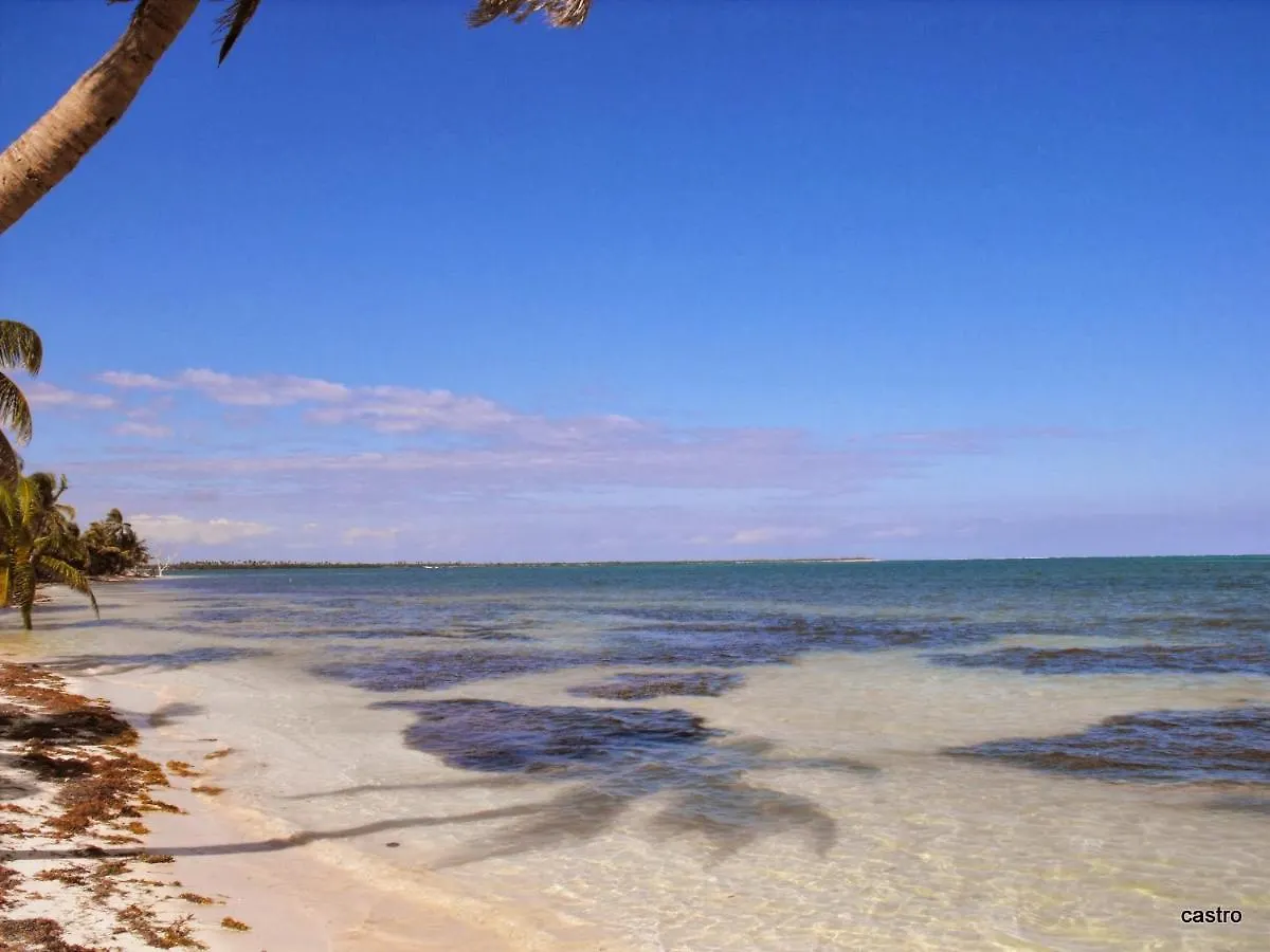 Las Palapas de Punta Allen