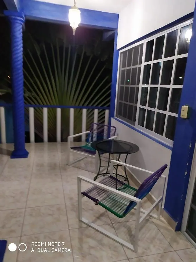 Las Palapas De Punta Allen