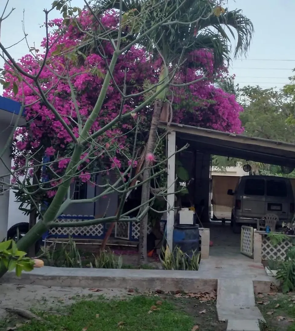 Las Palapas De Punta Allen Guest house