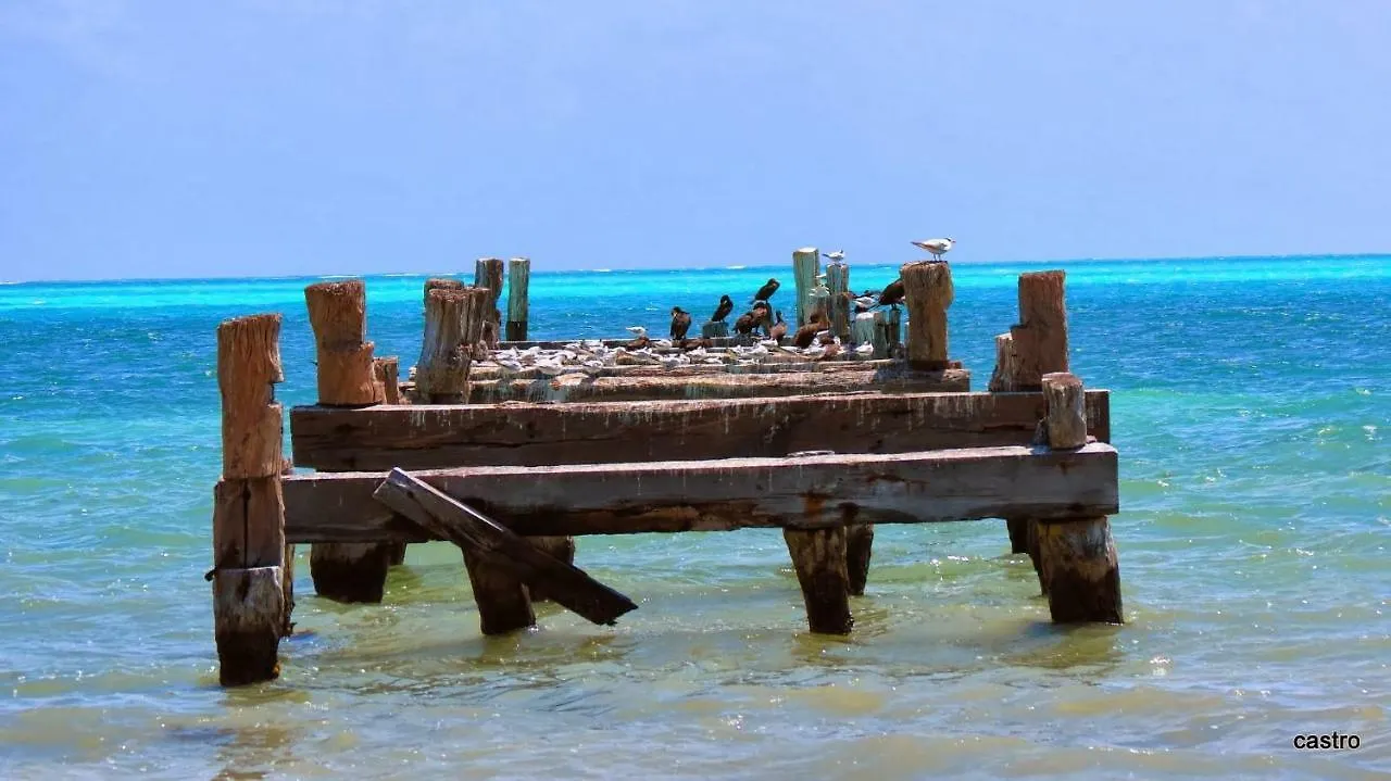 Guest house Las Palapas De Punta Allen