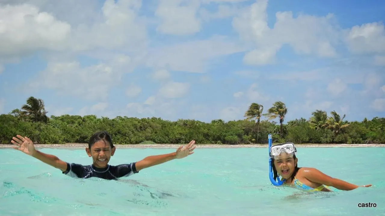 Las Palapas De Punta Allen