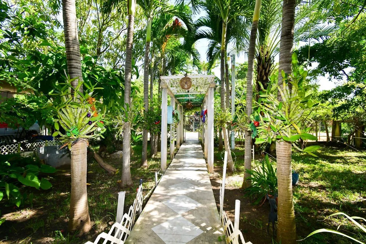 Las Palapas De Punta Allen