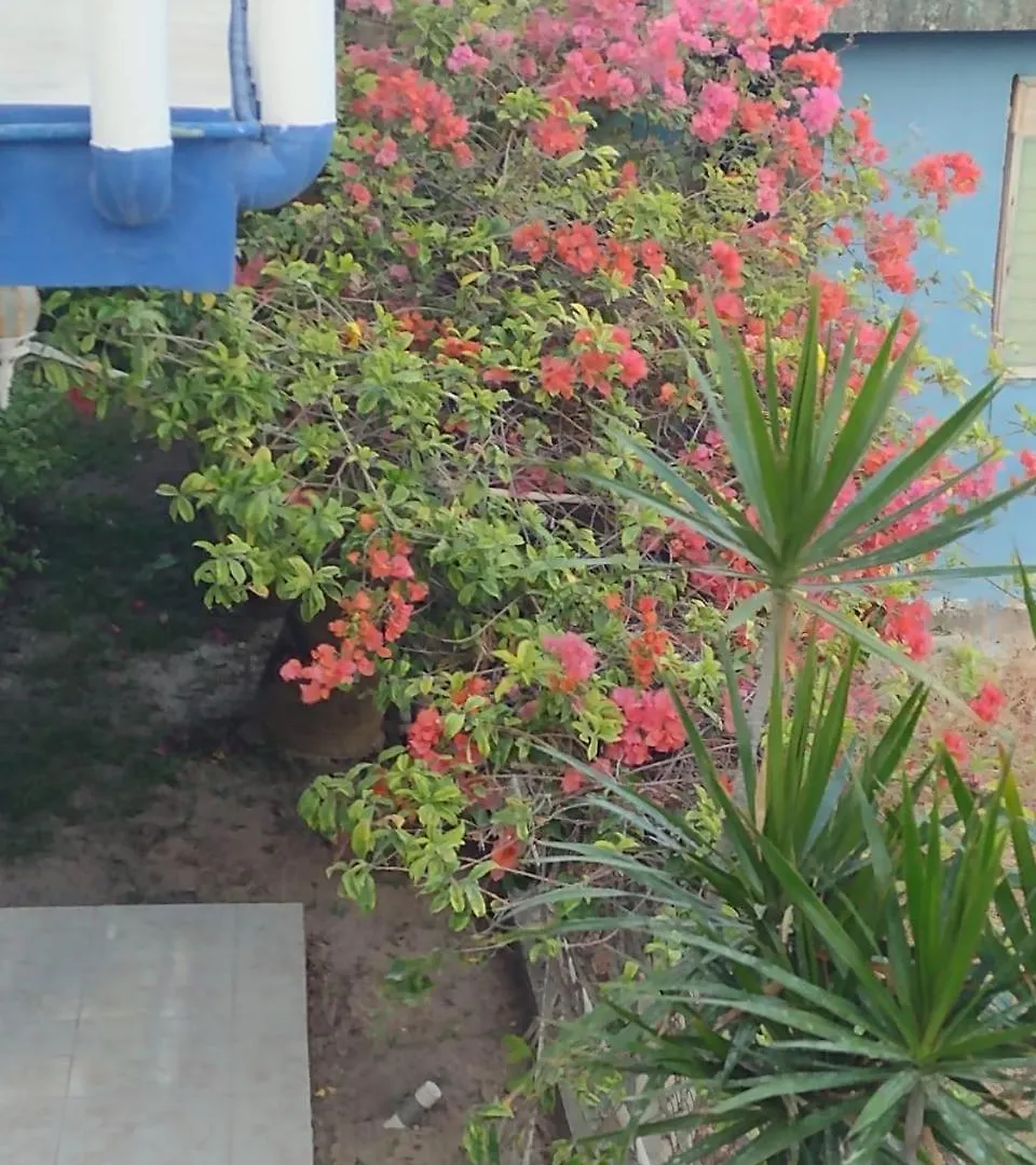 Las Palapas De Punta Allen