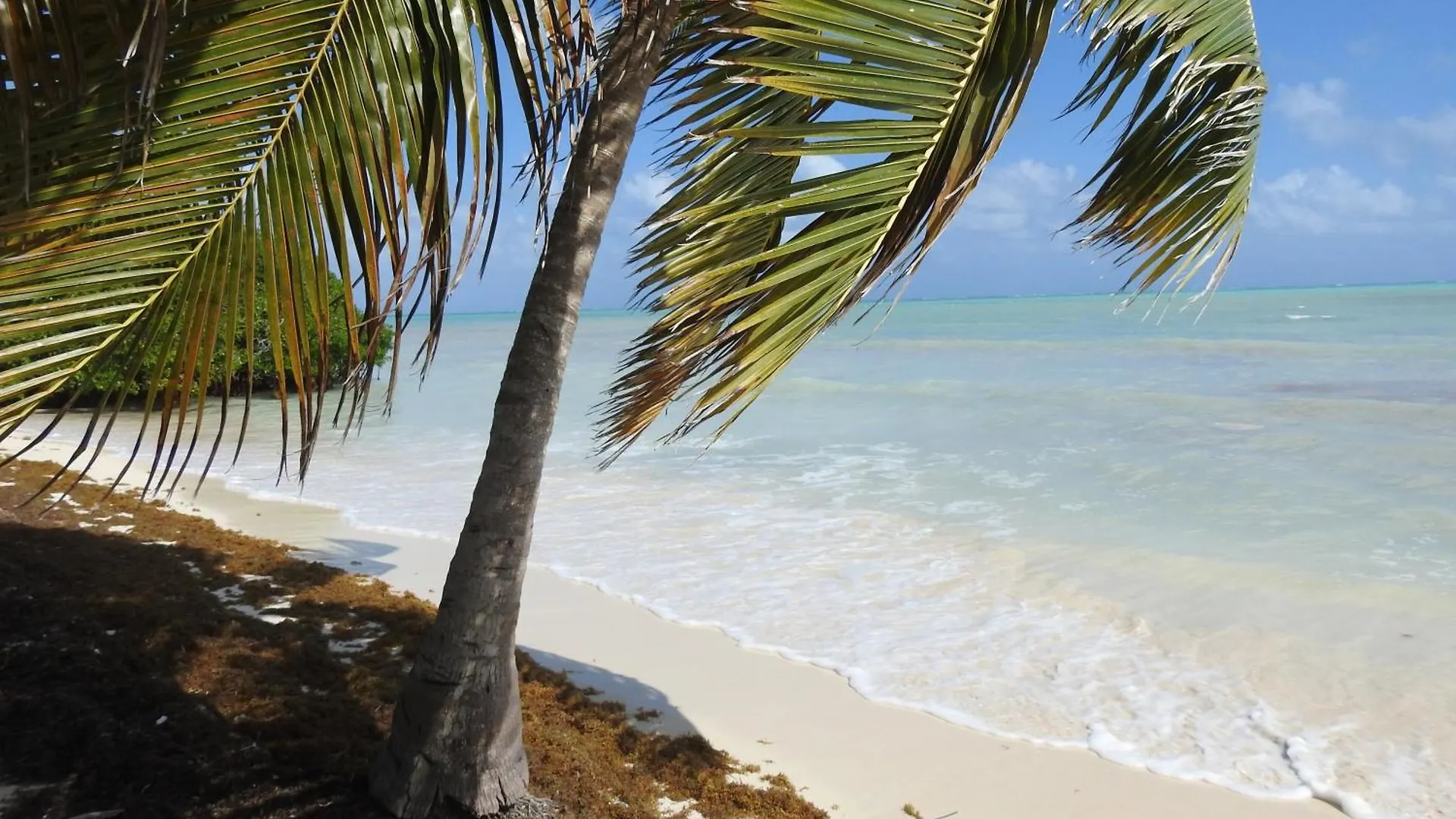 Las Palapas De Punta Allen 0*,