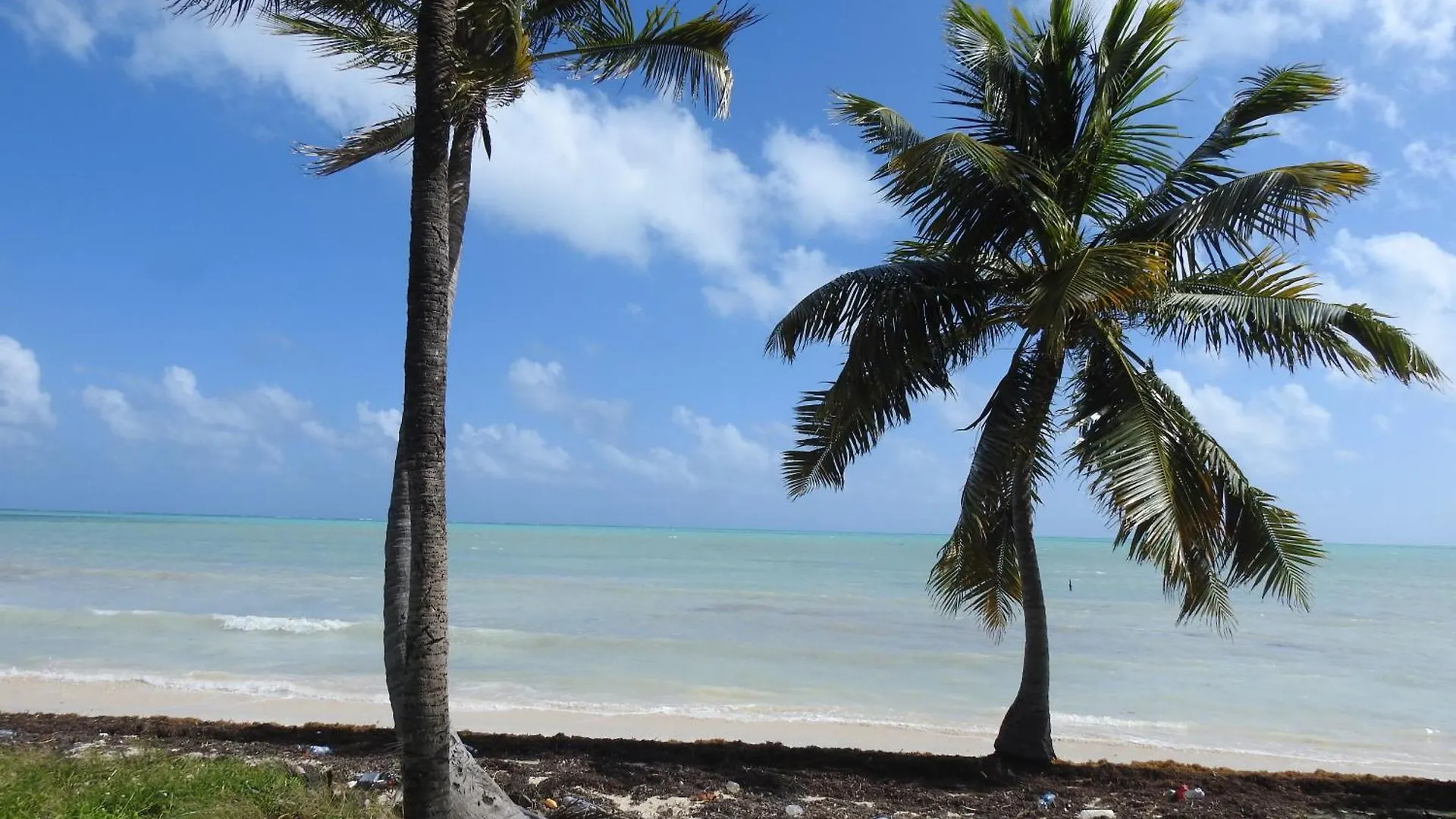 Las Palapas De Punta Allen Pensionat