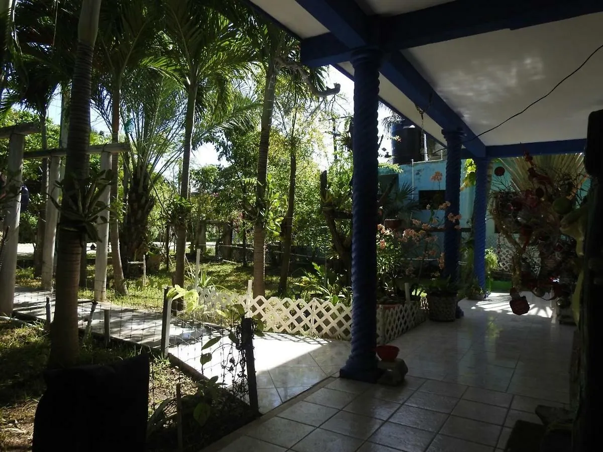 Las Palapas De Punta Allen Pensionat